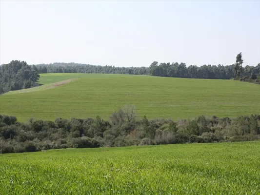 Земельный участок в Kassandra Municipality