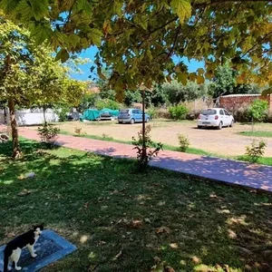 Мезонет в Kassandra Municipality, фото 2
