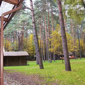 Ресторан / Кафе в Вильнюс, фото 2