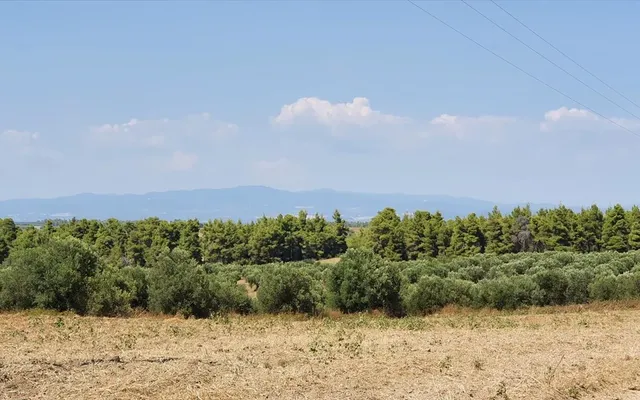 Земельный участок в Kassandra Municipality
