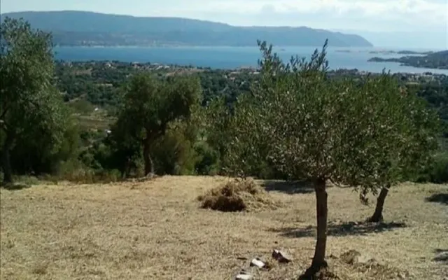 Земельный участок в Aristotle University of Thessaloniki