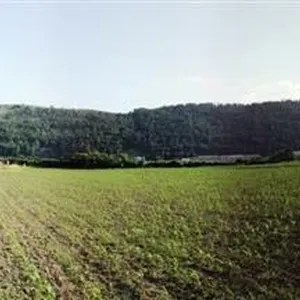 Земельный участок в Бар, фото 3