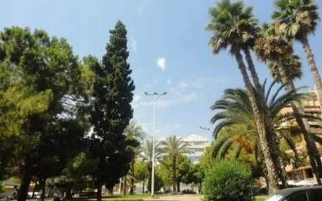 Квартира в Торревьеха