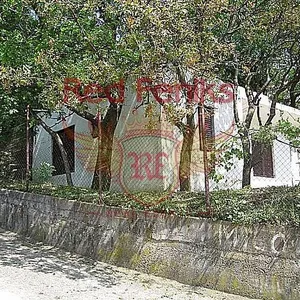 Дом в Сутоморе, фото 5