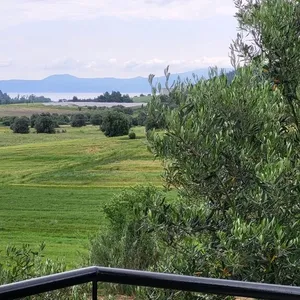 Отдельный дом в Kassandra Municipality, фото 4