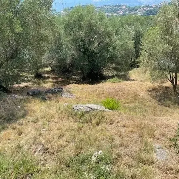 Земельный участок в Регион Херцег-Нови, фото 1