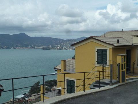 Квартира в Дзоальи