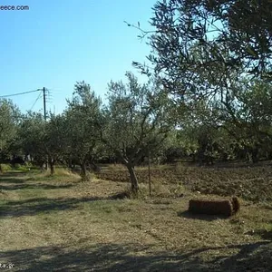 Земельный участок в Афины, фото 2