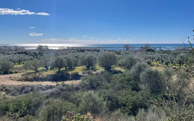 Земельный участок в Corfu