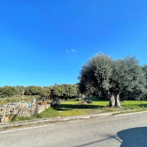 Земельный участок в Corfu, фото 3