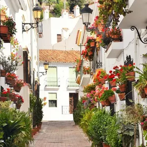 Квартира в Малага, фото 4