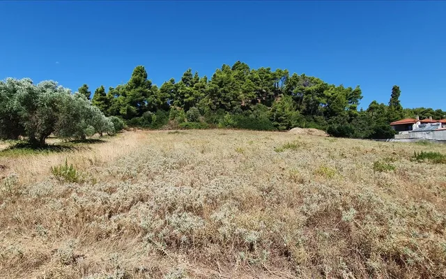 Земельный участок в Kassandra Municipality