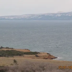 Земельный участок в Вир, фото 3