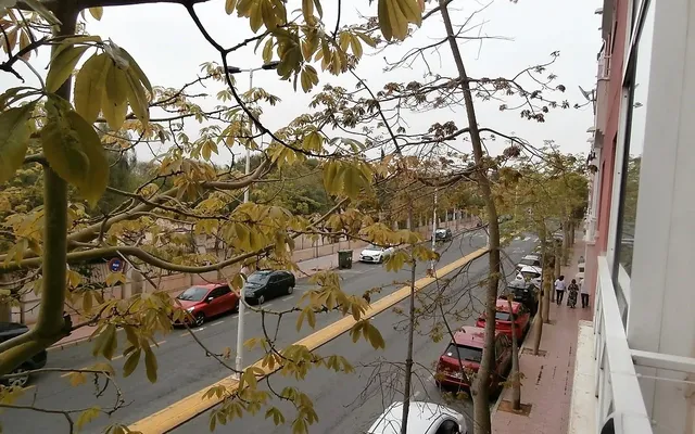 Квартира в Торревьеха