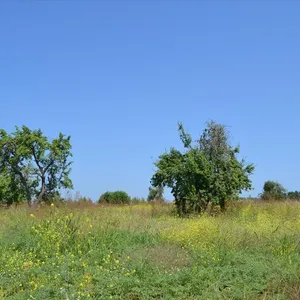 Земельный участок в Kassandra Municipality, фото 3