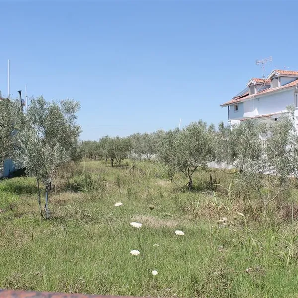 Земельный участок в Катерини, фото 1