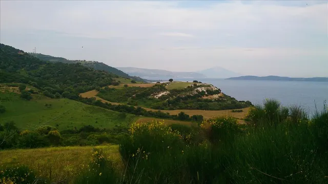 Земельный участок в Aristotle University of Thessaloniki