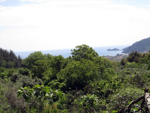 Земельный участок в Тасос