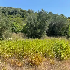 Земельный участок в Corfu, фото 2