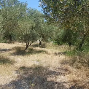 Земельный участок в Kassandra Municipality, фото 4