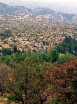 Коммерческая недвижимость в Задар