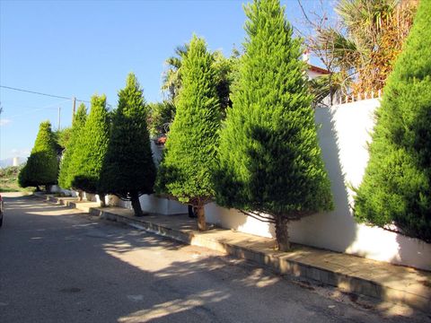 Вилла в Афины