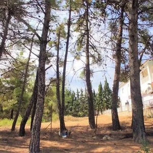 Вилла в Македония и Фракия, фото 4