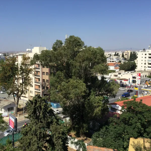 Квартира в Ларнака, фото 1