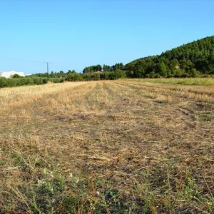 Земельный участок в Kassandra Municipality, фото 3
