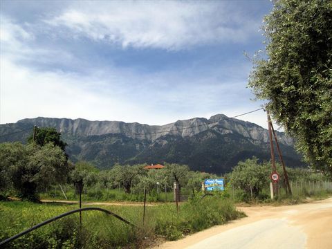 Земельный участок в Тасос