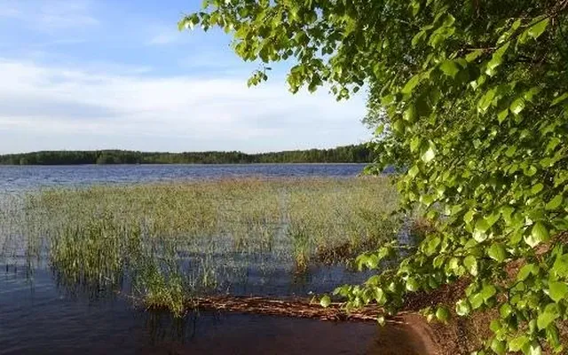 Земельный участок в Тайпалсари