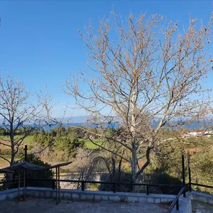 Коммерческая недвижимость в Kassandra Municipality, фото 4