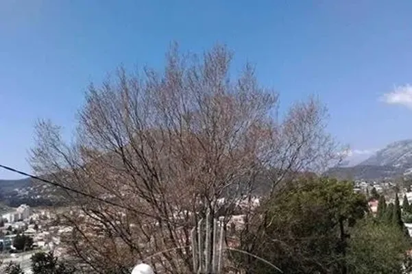 Отдельный дом в Сутоморе