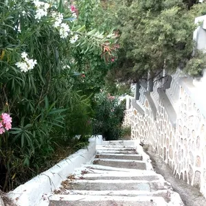 Земельный участок в Рафина, фото 5