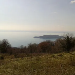 Земельный участок в Кульяче, фото 5