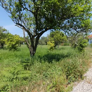 Земельный участок в Corfu, фото 4
