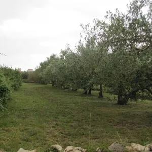 Земельный участок в Вир, фото 5