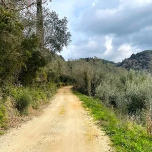 Земельный участок в Corfu, фото 5