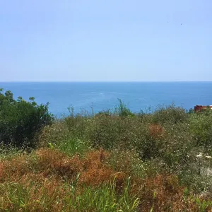 Земельный участок в Добра Вода, фото 4