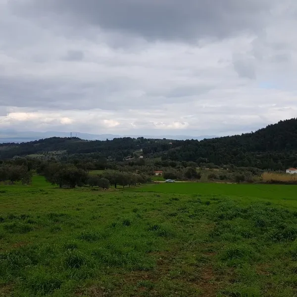 Земельный участок в Kassandra Municipality, фото 1