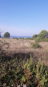 Земельный участок в Вир