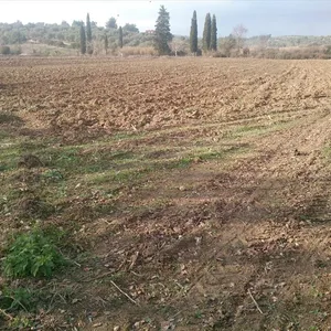 Земельный участок в Kassandra Municipality, фото 5
