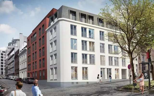 Catedra in Brussels