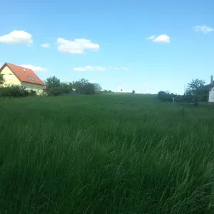 Земельный участок в Кестхей, фото 5