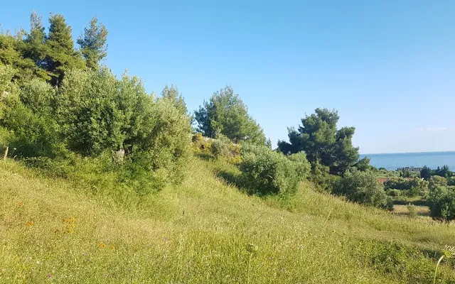 Земельный участок в Kassandra Municipality