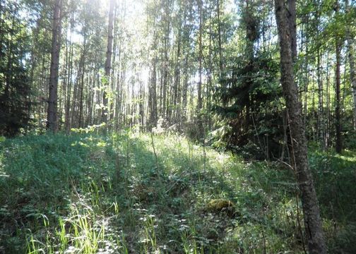 Земельный участок в Савонлинна