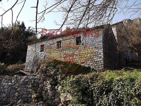 Дом в Зеленика