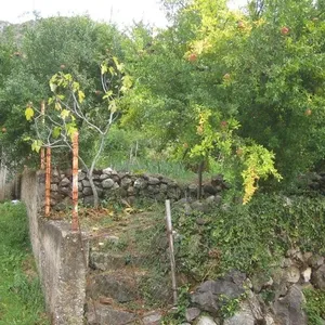 Отдельный дом в Бар, фото 4
