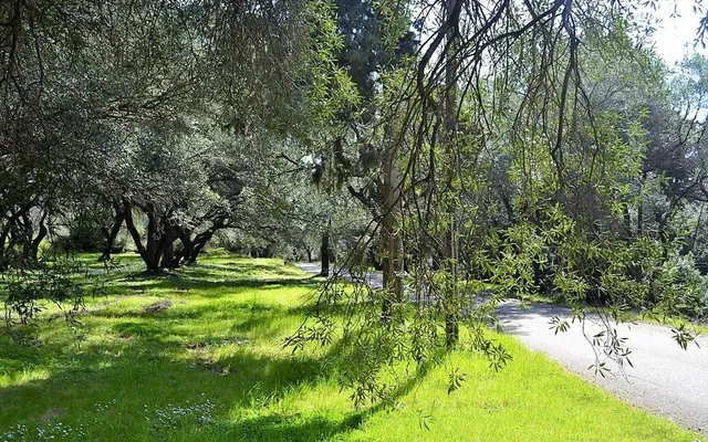 Земельный участок в Corfu