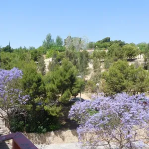 Квартира в Аликанте, фото 2